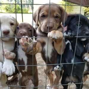 Meet your Posher, Vickie